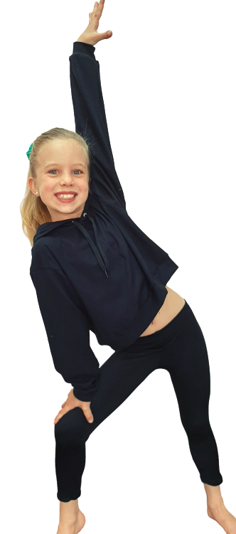 Plain Crop Top Hoodie